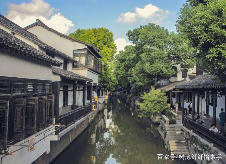 细胞分裂4